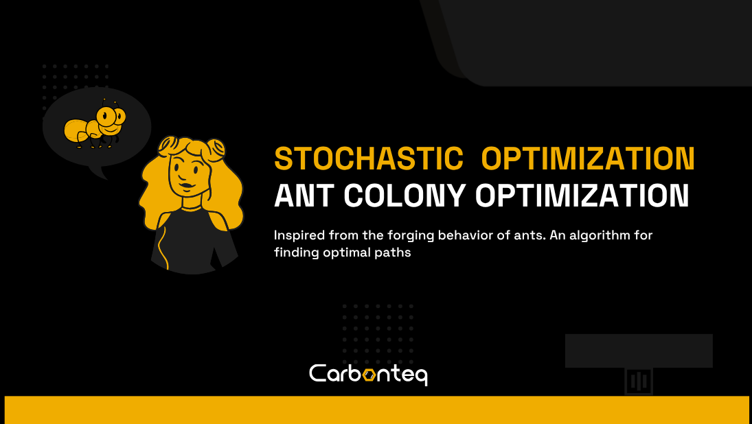 Stochastic Optimization: Ant Colony Optimization