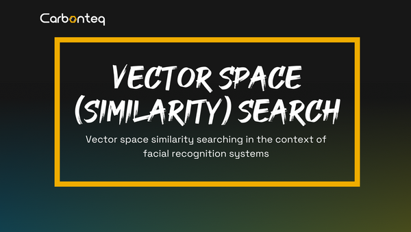 Vector Space (Similarity) Search