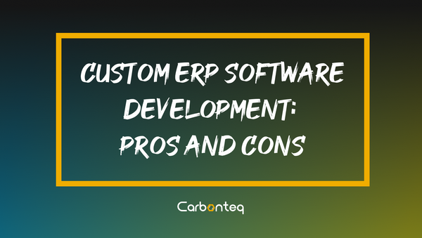 Custom ERP Software Development: PROS and CONS